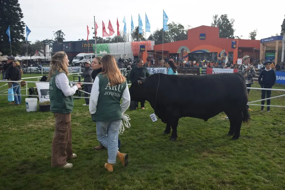 Dos de los premiados tienen sus stands al costado del ruedo de la Rural del Prado.