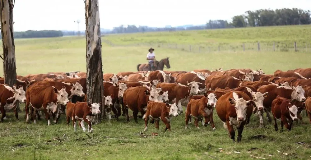 Parte de la oferta de la liquidación