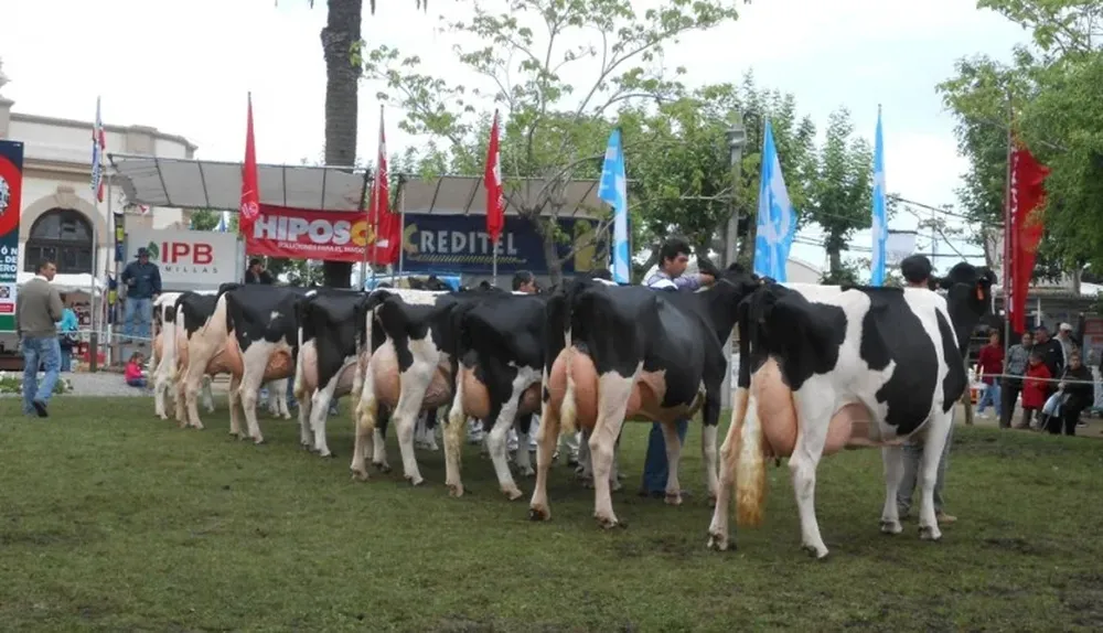 Así lució la pista de la Rural de San José en la definición de sus grandes campeonas Holando