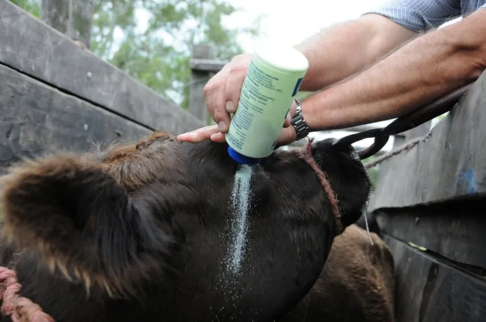En París expertos de 180 países analizan la situación de la sanidad animal a nivel mundial