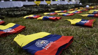 Guerrilla en Colombia