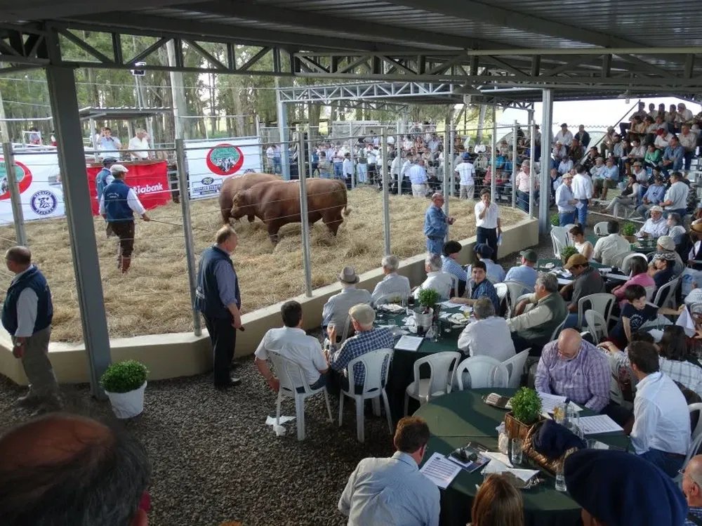 El remate generalmente convoca a un gran marco de público