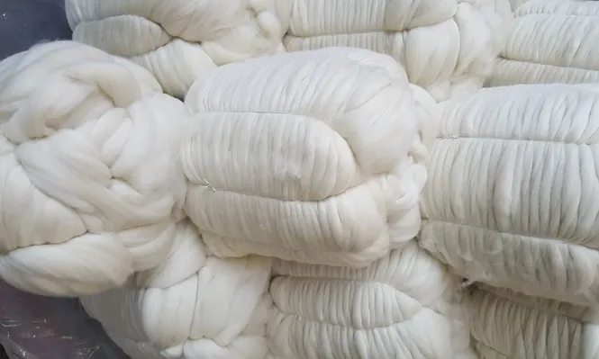 Mercado lanero: cierre semanal con novedades positivas.