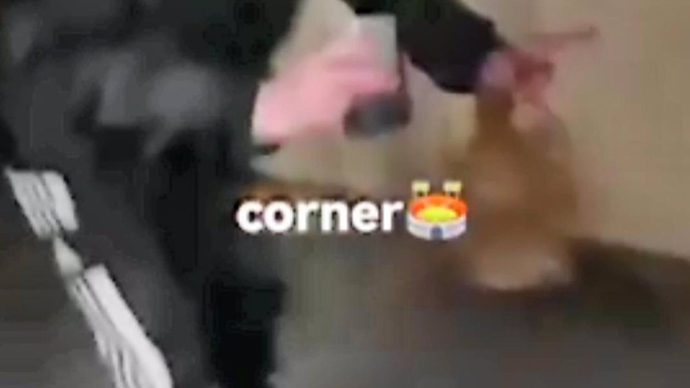 Gallina utilizada como balón.