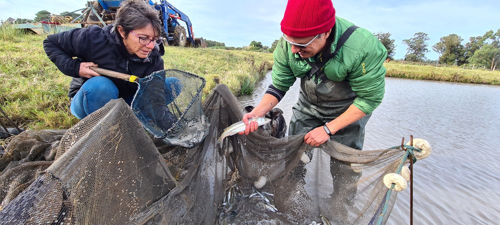 Acuicultura: Claudia y Piero en una de las piletas de producción en la granja ubicada próximo a Piriápolis.