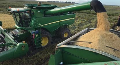 El Observador | juan castiglioni 33.jpeg