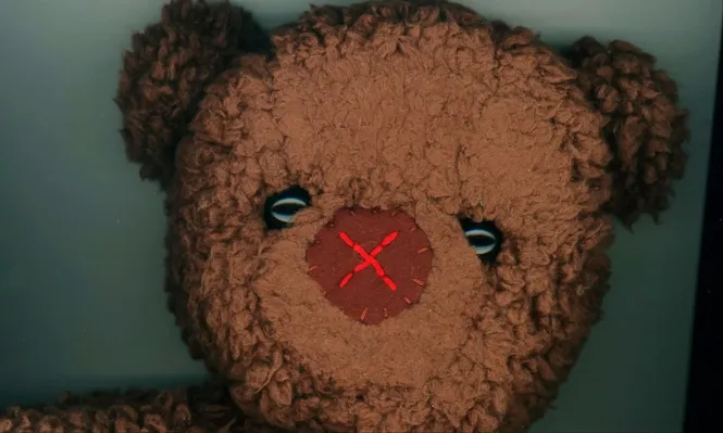 Los ositos de peluche son de los obsequios más populares para los niños y, a menudo, se regalan a los adultos para expresar afecto o compasión.