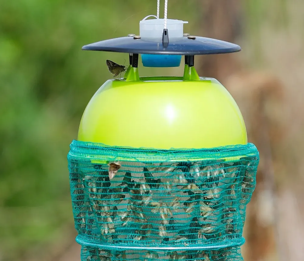 Agricultura sostenible en Brasil.