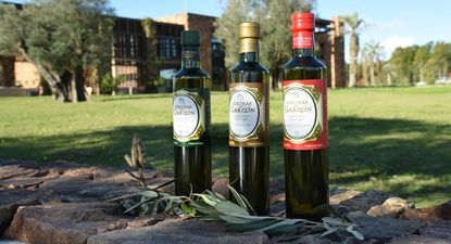 Aceite de oliva Colinas de Garzón recibe importante premio y se consolida como el mejor del Uruguay