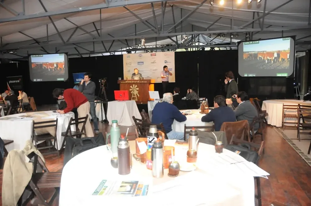 El remate de Plazarural vuelve al Sheraton