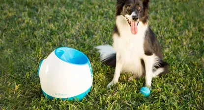 Hay tres tamaños de lanzador de pelotas