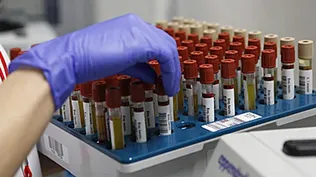 Combinados y aún en bajas dosis, los químicos pueden generar déficit de atención y distintos tipos de cáncer. Los seres humanos se exponen a estos químicos incluso antes de nacer