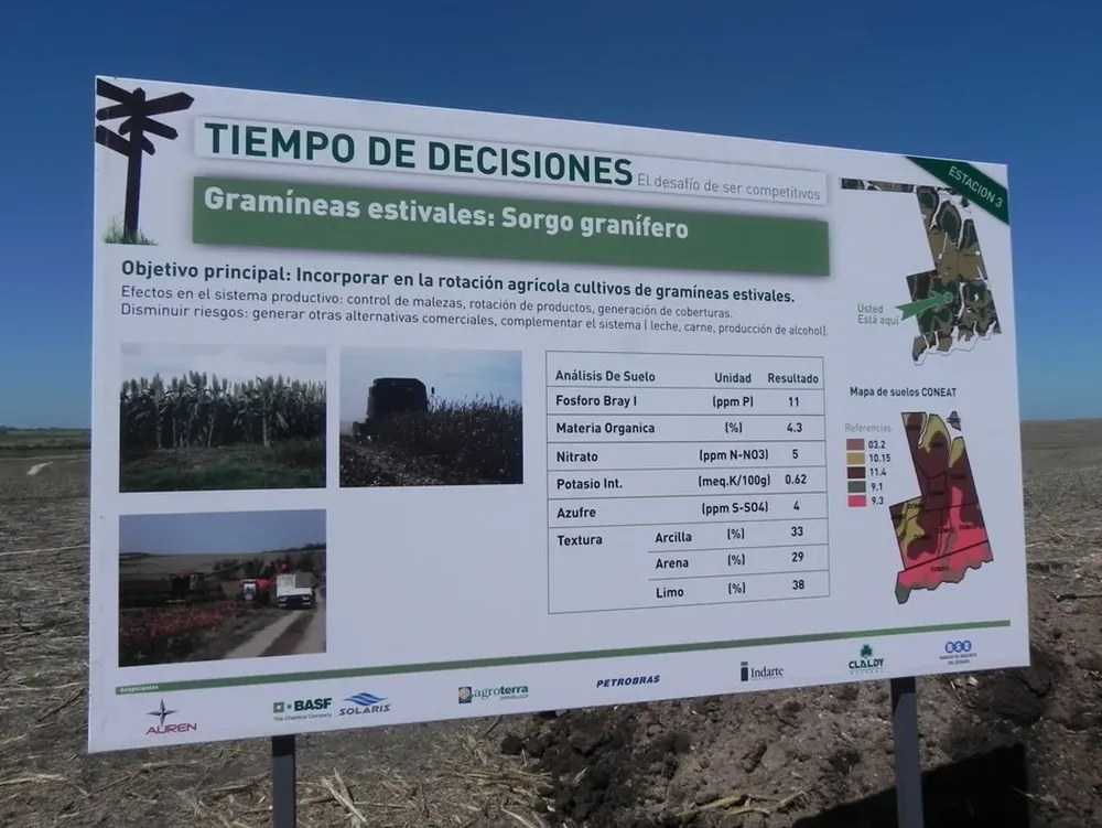 Destacó la participación de muchos estudiantes