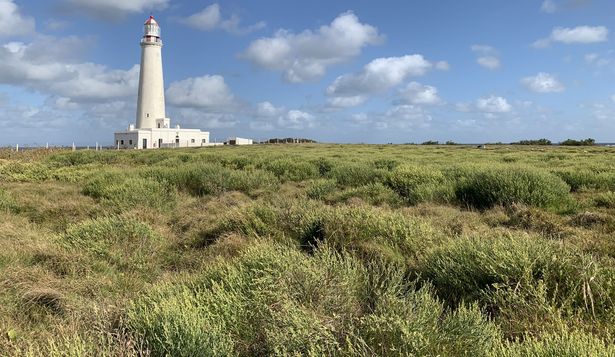 El Faro del Cabo Santa María de La Paloma
