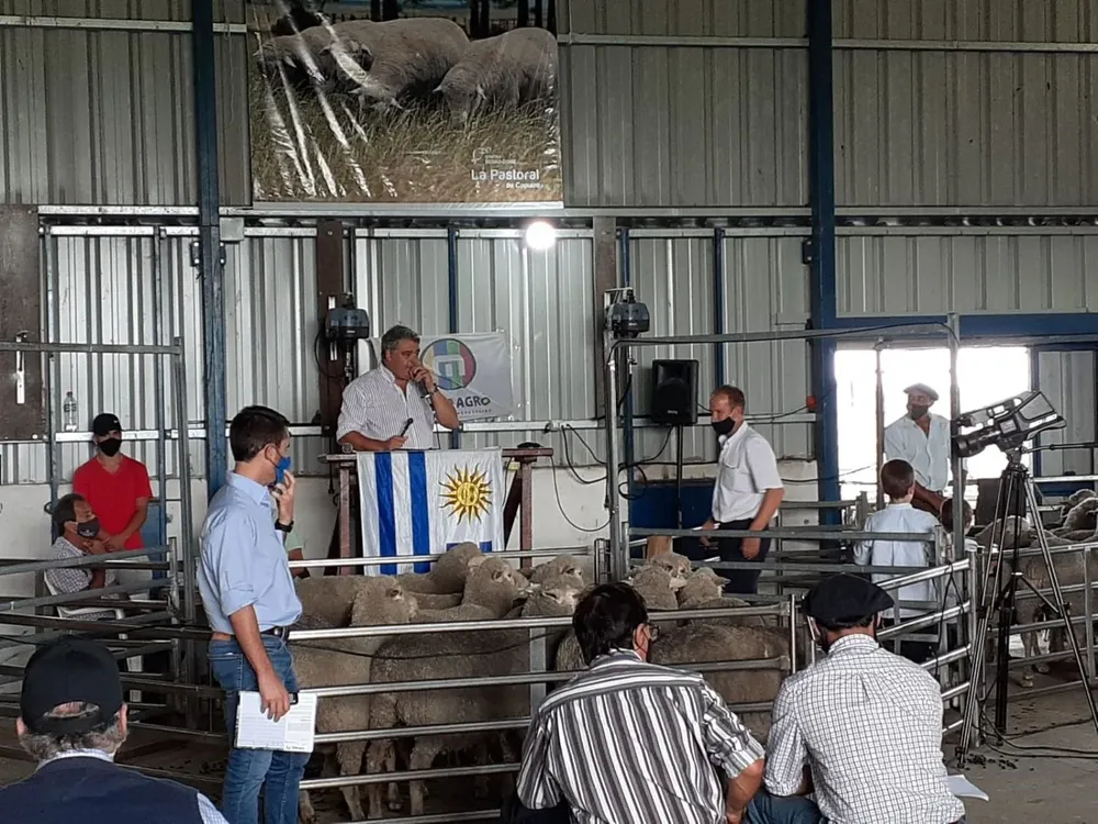 José Pedro Aicardi, director de MegaAgro, rematando en La Pastoral.