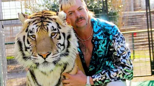 Así es Rey Tigre, la insólita y adictiva serie de Netflix sobre el tráfico de felinos exóticos en EEUU