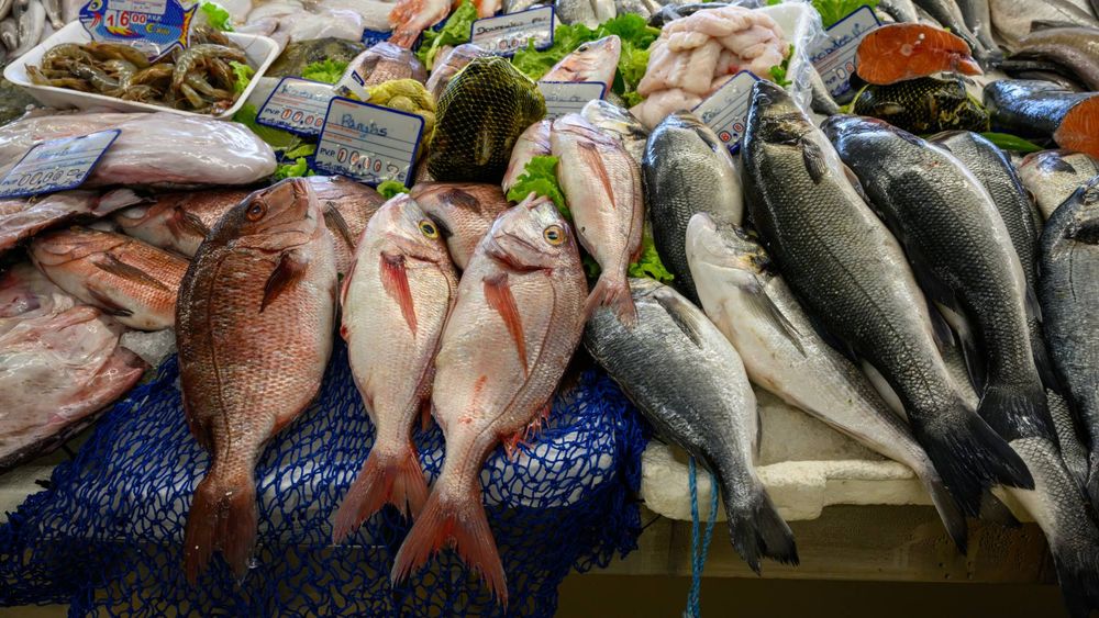 Retiran estos pescados por contaminación química en España.&nbsp;