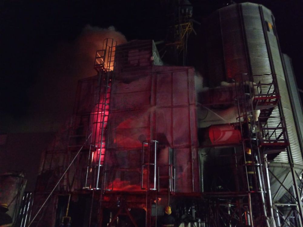 WhatsApp Image 2024-07-31 at 12.21.56.jpeg