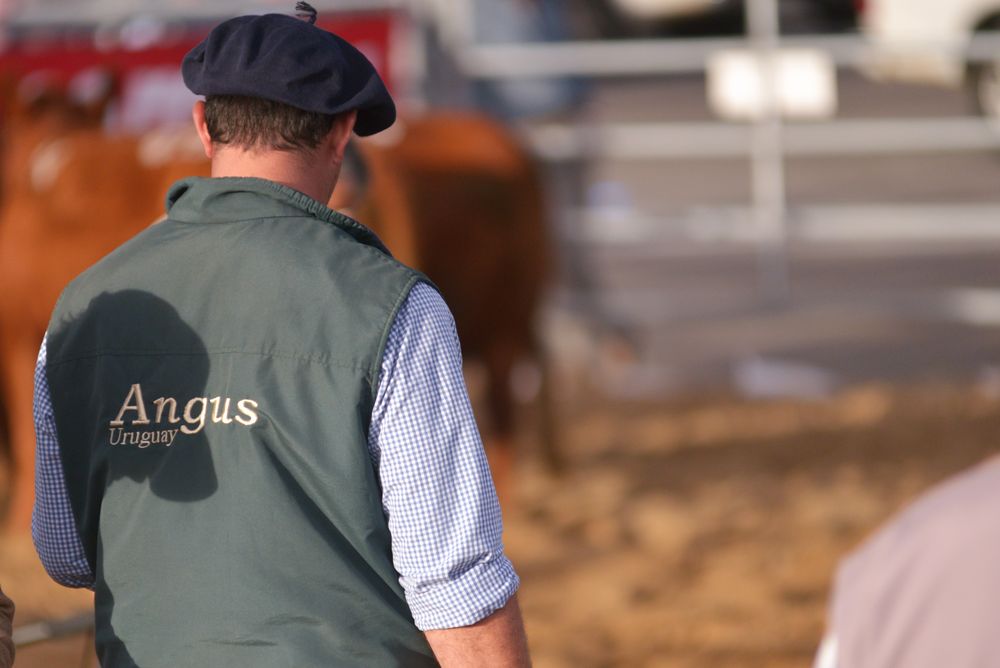 Trabajador rural: en Uruguay su día se conmemora en cada 30 de abril.