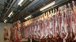 Archivo: carne vacuna en cámara de frigorífico.