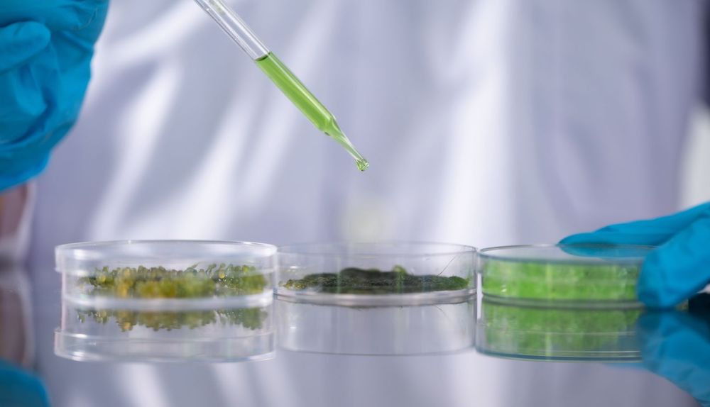 WhatsApp Image 2026-03-13 at 9.12.47 AM