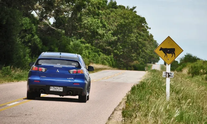 La ruta 10 une a la Laguna de Rocha con Cabo Polonio y Aguas Dulces