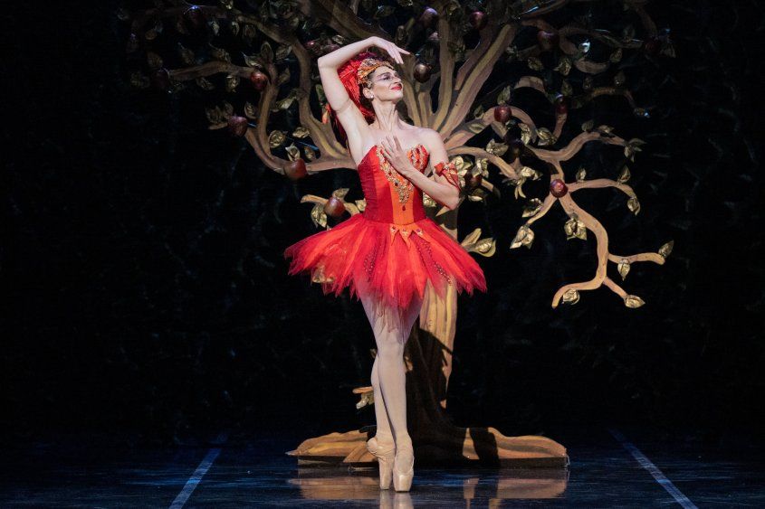 Rosina Gil en Pájaro de fuego