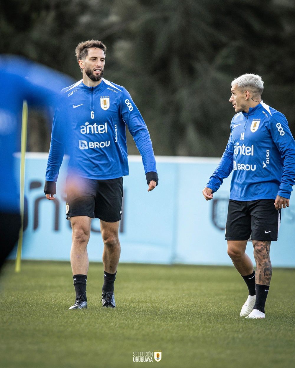 Lucas Torreira en su convocatoria a la selección uruguaya de Marcelo Bielsa junto a Rodrigo Bentancur