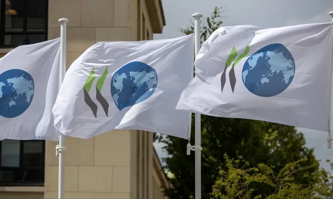 El informe de la OCDE da cuenta de un panorama disímil entre los países que integran el foro.