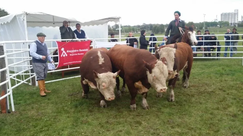 El remate se hará en el local de la Sociedad Criolla Tabaré Regules