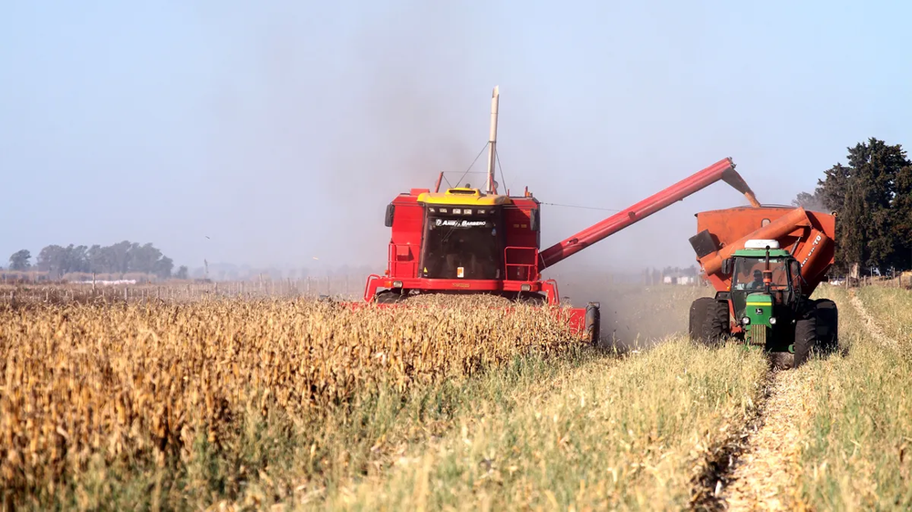 Exportaciones agroindustriales de octubre 2024: un crecimiento interanual del 41% impulsa el sector