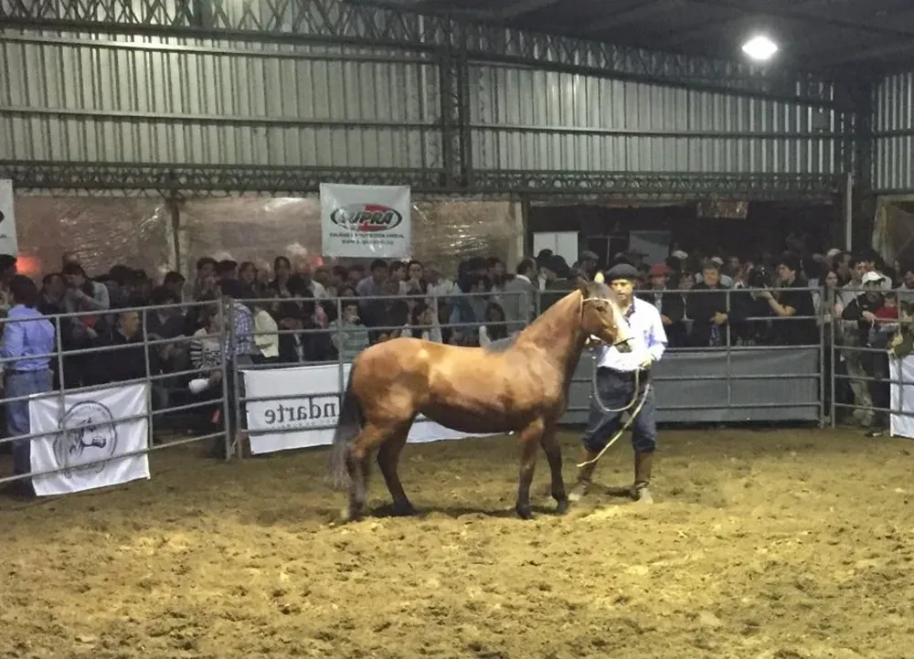 Hubo demanda firme por los productos más destacados de la oferta