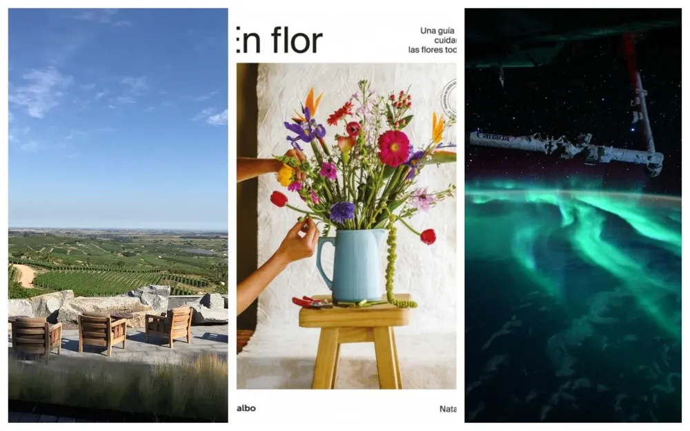 Vinos, flores y auroras, en el Picnic de hoy