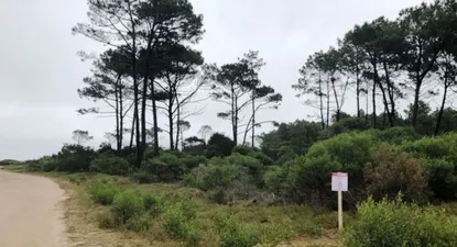 Stefanoli vende en remate 24 terrenos en balneario Chihuahua
