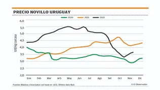 Precios, faena y exportaciones, lo que pasa en el mercado ganadero