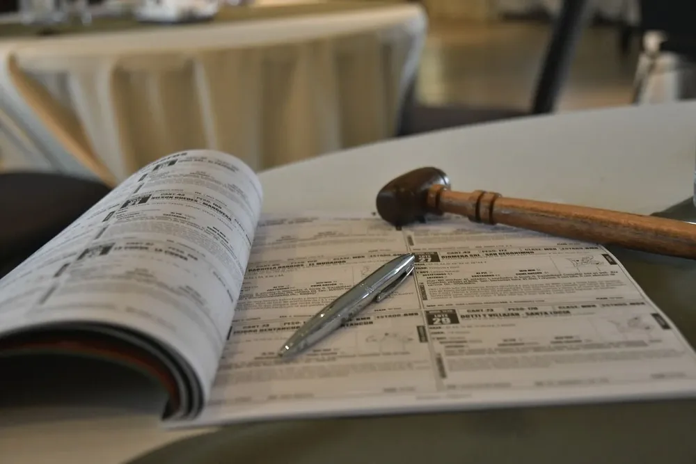 En el próximo remate de Plaza Rural habrá una oferta especial Angus.