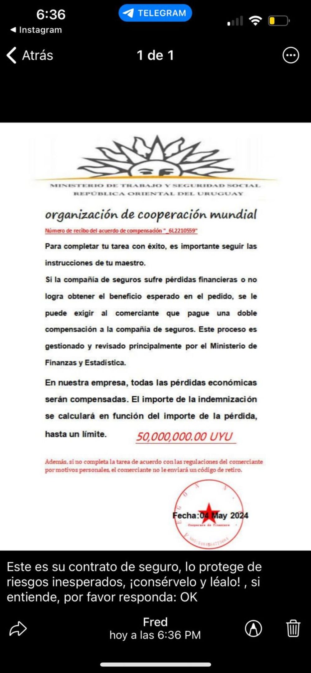 WhatsApp Image 2024-05-10 at 19.30.24.jpeg