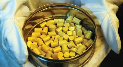 El Observador | 0000347387.webp