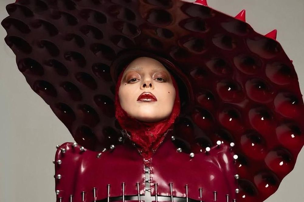 Lady Gaga tiene en total 14 premios Grammy y un Oscar.