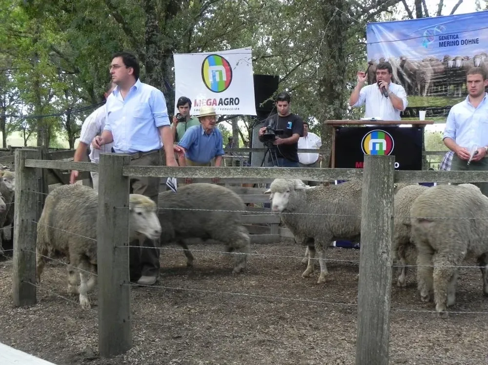 Rematará MegaAgro en el local Santa Bernardina, en Durazno