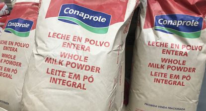 Lácteos: en enero fue uno de los bienes de exportación que más divisas generó para Uruguay, junto con la carne vacuna y la celulosa.