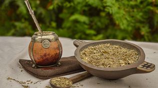 Yerba mate: científicos argentinos hallaron un nuevo efecto beneficioso para la salud