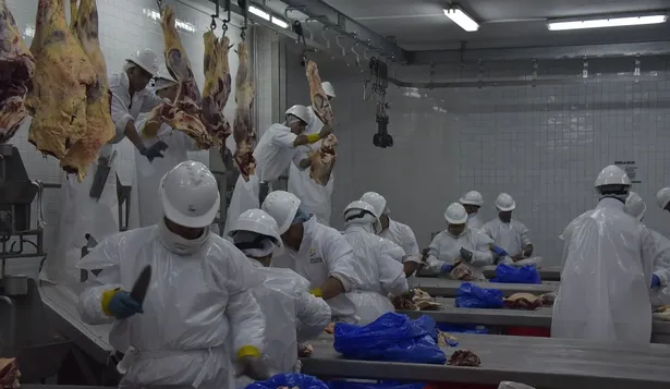 Carnes exportadas: considerando todos los productores, este año se obtendrán unos US$ 2.600 millones.