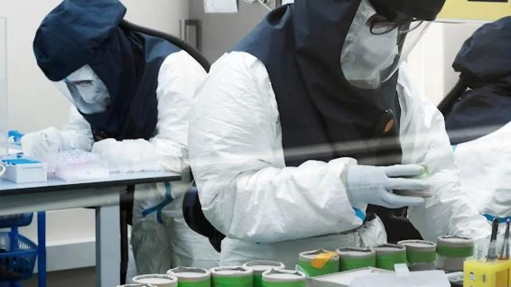 Trabajadores del IRTA-CReSA, un centro de investigación en sanidad animal.&nbsp;