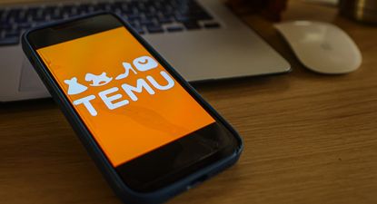 El peso de Temu en las compras web