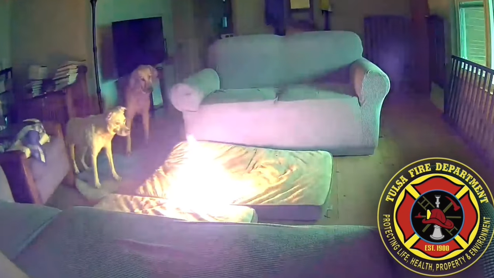 Captura del video difundido por bomberos del incendio con los perros mirando el fuego