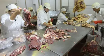 La faena se ubicó por debajo de las 50 mil cabezas