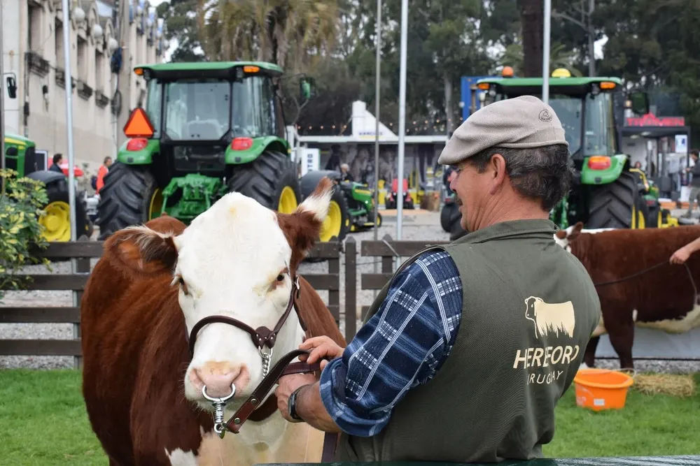 Buena genética en la Expo Prado y a la vez buena maquinaria.