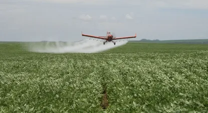 por que paris y otras ciudades francesas prohiben uso de pesticidas