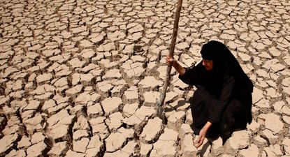 El Observador | water 5 imagen